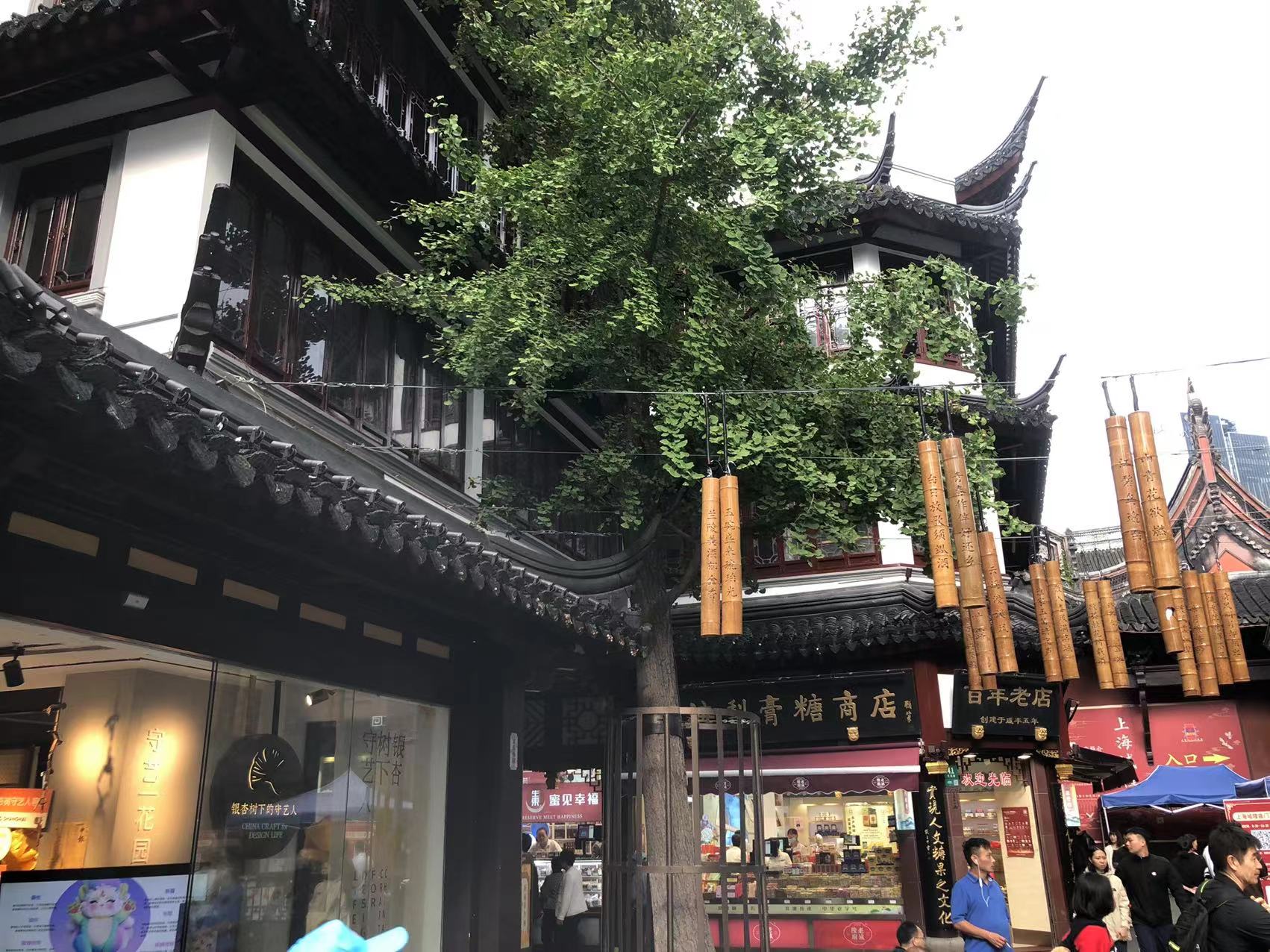 黃浦區文昌路19號城隍廟房屋安全性鑒定 (2)